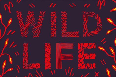 Disclosure Announce Wild Life Series of Shows. • Soundplate.com ...