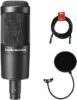 Audio-Technica AT2035 rap mic