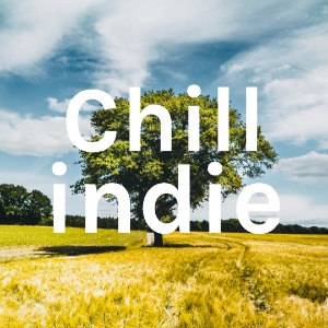 Chill indie : Spotify Playlist [Submit Music Here] • Soundplate.com