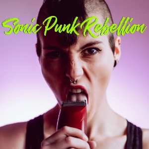 Sonic Punk Rebellion : Spotify Playlist [Submit Music Here ...