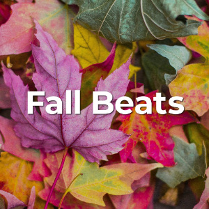 Fall Beats Cozy Lofi Hip-Hop for Autumn : Spotify Playlist [Submit